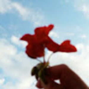 Meet your Posher, Aylen